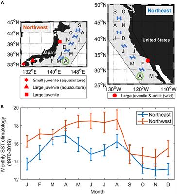 Fish Specialize Their Metabolic Performance to Maximize Bioenergetic Efficiency in Their Local Environment: Conspecific Comparison Between Two Stocks of Pacific Chub Mackerel (Scomber japonicus)